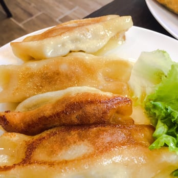 Tang Gourmet - Shanghai fried dumplings - Chinese Near Me - Milan, Michigan