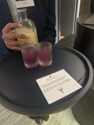 JW Marriott Gold Coast Resort & Spa by null