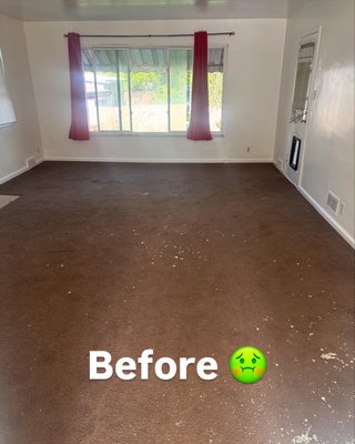 Brink's Carpet & Upholstery