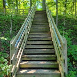 Smeck Park - Steps on Walnut Creek Trail