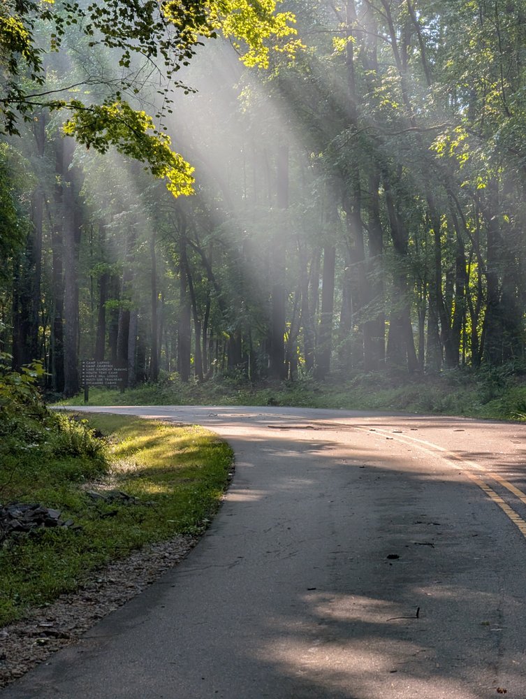 William B Umstead State Park Logo