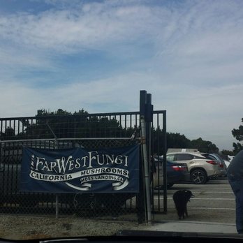 Far West Fungi - Entrance - Fruits & Veggies Near Me - Moss Landing, California Far West Fungi - Entrance - Fruits & Veggies Near Me - Moss Landing, California