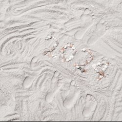 Visit Shell Island