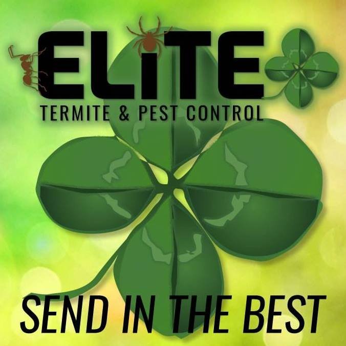ELITE TERMITE AND PEST CONTROL Updated October 2024 420 Kirkwood Dr
