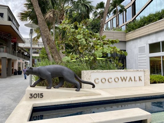 Coconut Grove by null