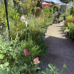 Barristers Nursery