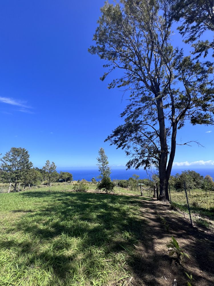 PU’UWAI GARDENS Updated August 2024 485370 HonokaaWaipio Rd