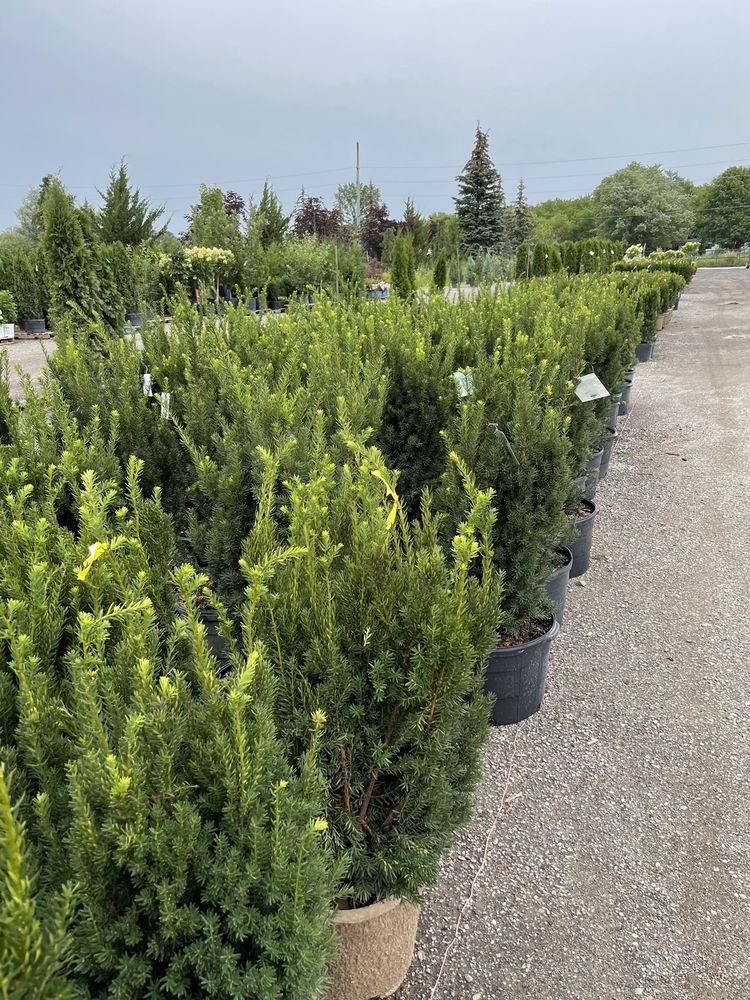 TREE VALLEY GARDEN CENTRE Updated October 2024 33 Photos & 11