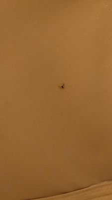 Missing Hotel by null