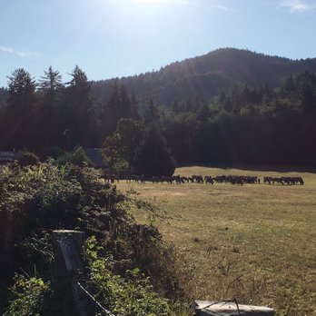 Last Chance Camp Equine Rest Stop - Hotels Near Me - Forks, Washington Last Chance Camp Equine Rest Stop - Hotels Near Me - Forks, Washington