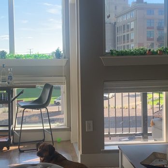 AMLI RIVERFRONT PARK - Updated January 2026 - 36 Photos & 45 Reviews