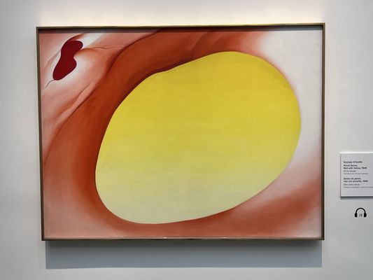 Georgia O'Keeffe Museum by null