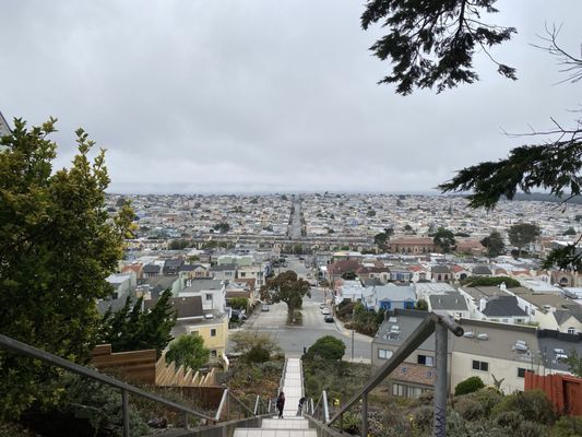 16th Avenue Tiled Steps by null