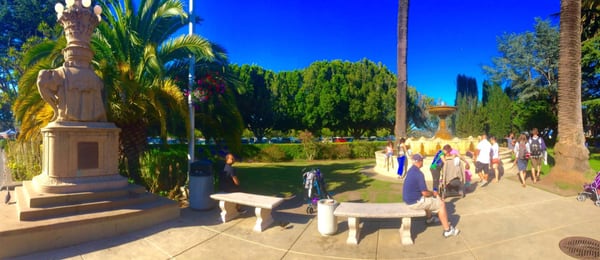 Viña del Mar Park by null