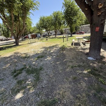 Jellystone Park Tower Park - This is the deluxe RV site. Not worth their prices! Way better RV places! Ughhh! - Campgrounds Near Me - Lodi, California Jellystone Park Tower Park - This is the deluxe RV site. Not worth their prices! Way better RV places! Ughhh! - Campgrounds Near Me - Lodi, California