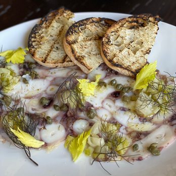 Il Nido - Octopus appetizer special - Italian Near Me - Seattle, Washington Il Nido - Octopus appetizer special - Italian Near Me - Seattle, Washington