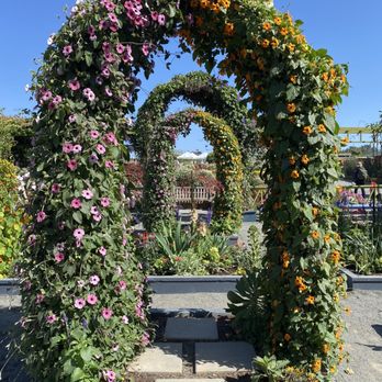 The Flower Fields - Venues & Event Spaces Near Me - Carlsbad, California The Flower Fields - Venues & Event Spaces Near Me - Carlsbad, California