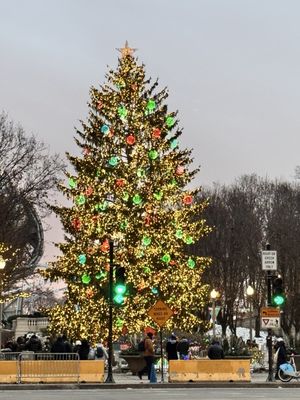 Millennium Park Plaza by null