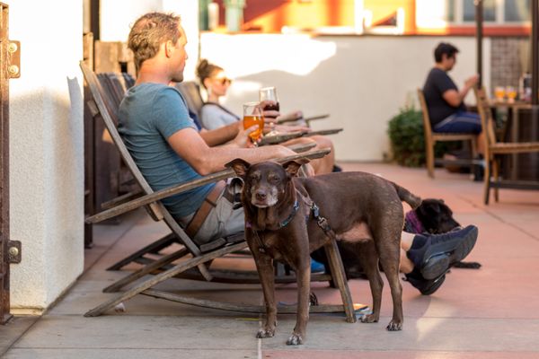 Stone Brewing Tap Room - Pasadena by null