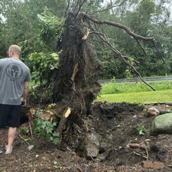 Phillips Tree Service
