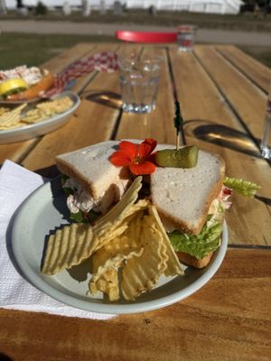 Salty Rose's & the Periwinkle Café by null