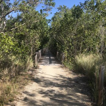 Bear Cut Preserve - Trail - Hiking Near Me - Key Biscayne, Florida Bear Cut Preserve - Trail - Hiking Near Me - Key Biscayne, Florida