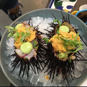 Holbox - Holbox Sea Urchin - Latin American Near Me - Los Angeles, California Holbox - Holbox Sea Urchin - Latin American Near Me - Los Angeles, California