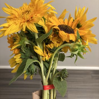 Bart's Books - Sunflowers from the farm!! - Bookstores Near Me - Ojai, California