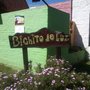 Photo of Bichito de Luz