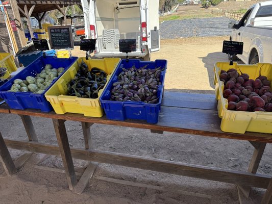 Coastal Roots Farm by null