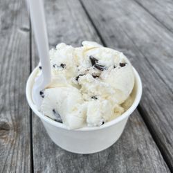 DownRiver Ice Cream - 1 scoop chocolate chip