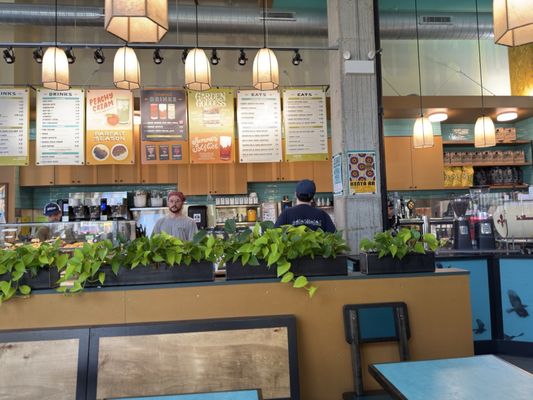 Colectivo Coffee Ravenswood by null