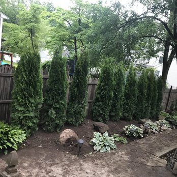 The Eagles Landscape - a backyard garden with trees and shrubs - Landscaping Near Me The Eagles Landscape - a backyard garden with trees and shrubs - Landscaping Near Me