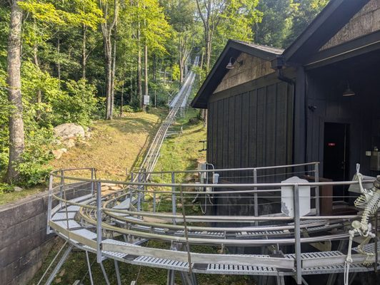 Wilderness Run Alpine Coaster by null