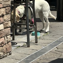 The Nut House Pub & Grille - Pet friendly
