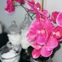 Photo of The Spa Diva Studio