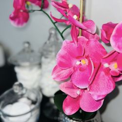 The Spa Diva Studio