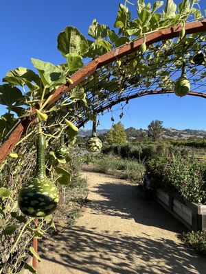 Pennyroyal Farm by null Pennyroyal Farm by null