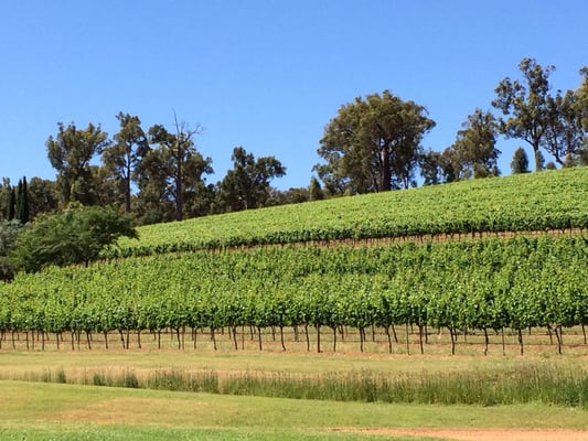 Millbrook Winery by null