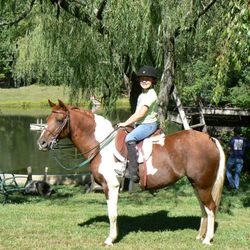 Van Vixen Farm - Trial Riding is a must at Van Vixen Farm.  Come on and get out of the ring!