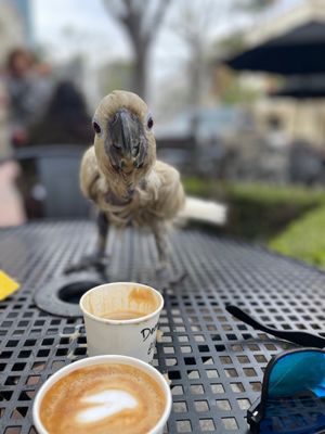 Ministry of Coffee by null