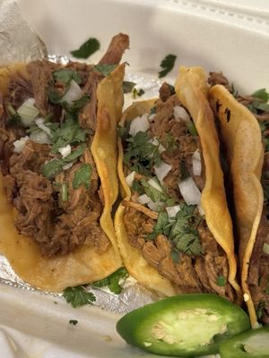 Late Night Tacos Philly by null