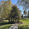 Losson Park gift card