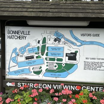 Bonneville Dam Fish Hatchery - Scheme of hatchery - Aquariums Near Me - Cascade Locks, Oregon