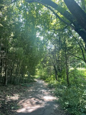 New York Chinese Scholar's Garden, Snug Harbor Cultural Center by null