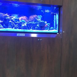 Preece, Church & Associates, Pediatric Dentistry - Fish tank!