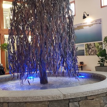 Maine Beer - Cool fountain tree! - Breweries Near Me - Freeport, Maine