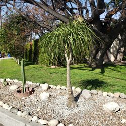 Southeast Construction Products - More landscaping with rocks will save water. Southeast Construction has the best prices around for crushed rocks.