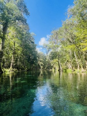 Ichetucknee Springs State Park by null
