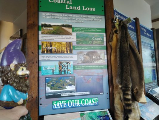 New Canal Lighthouse by null